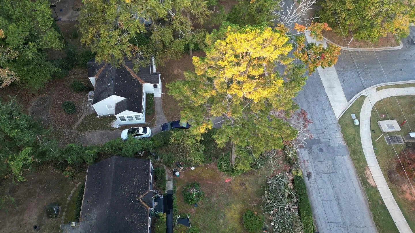 IG Tree Service project 1