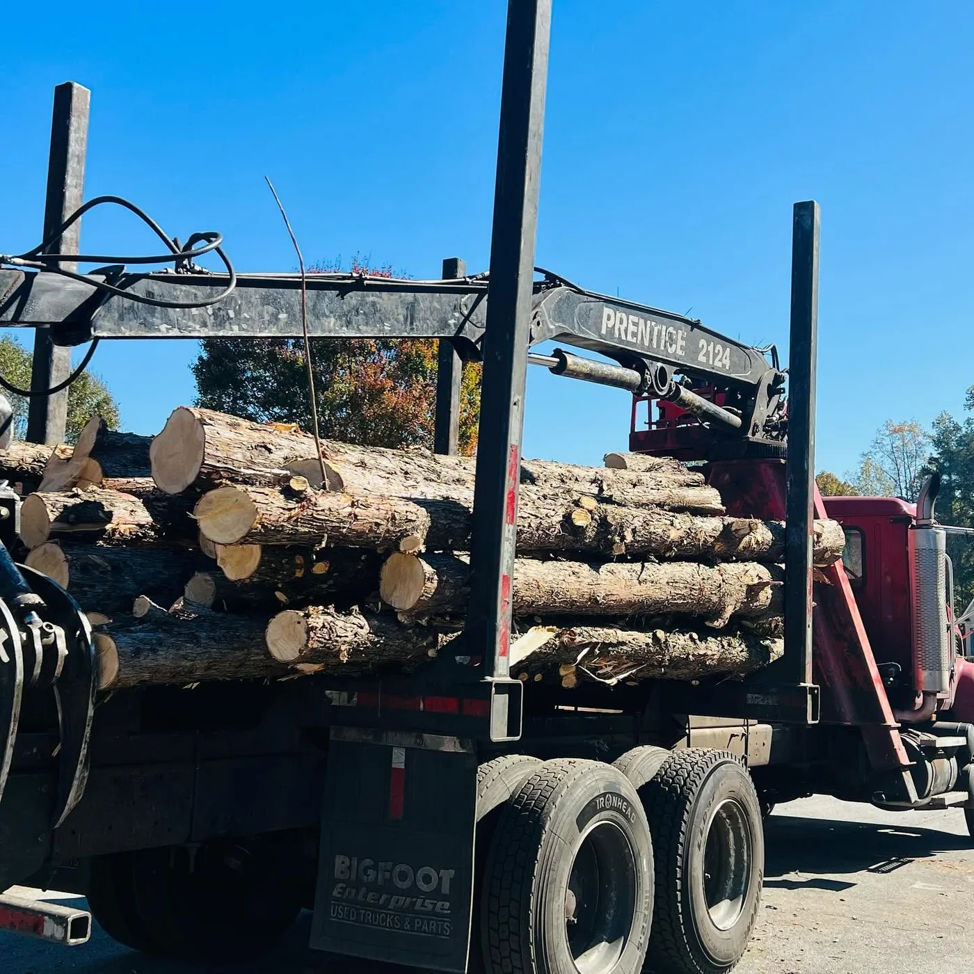 IG Tree Service project 2