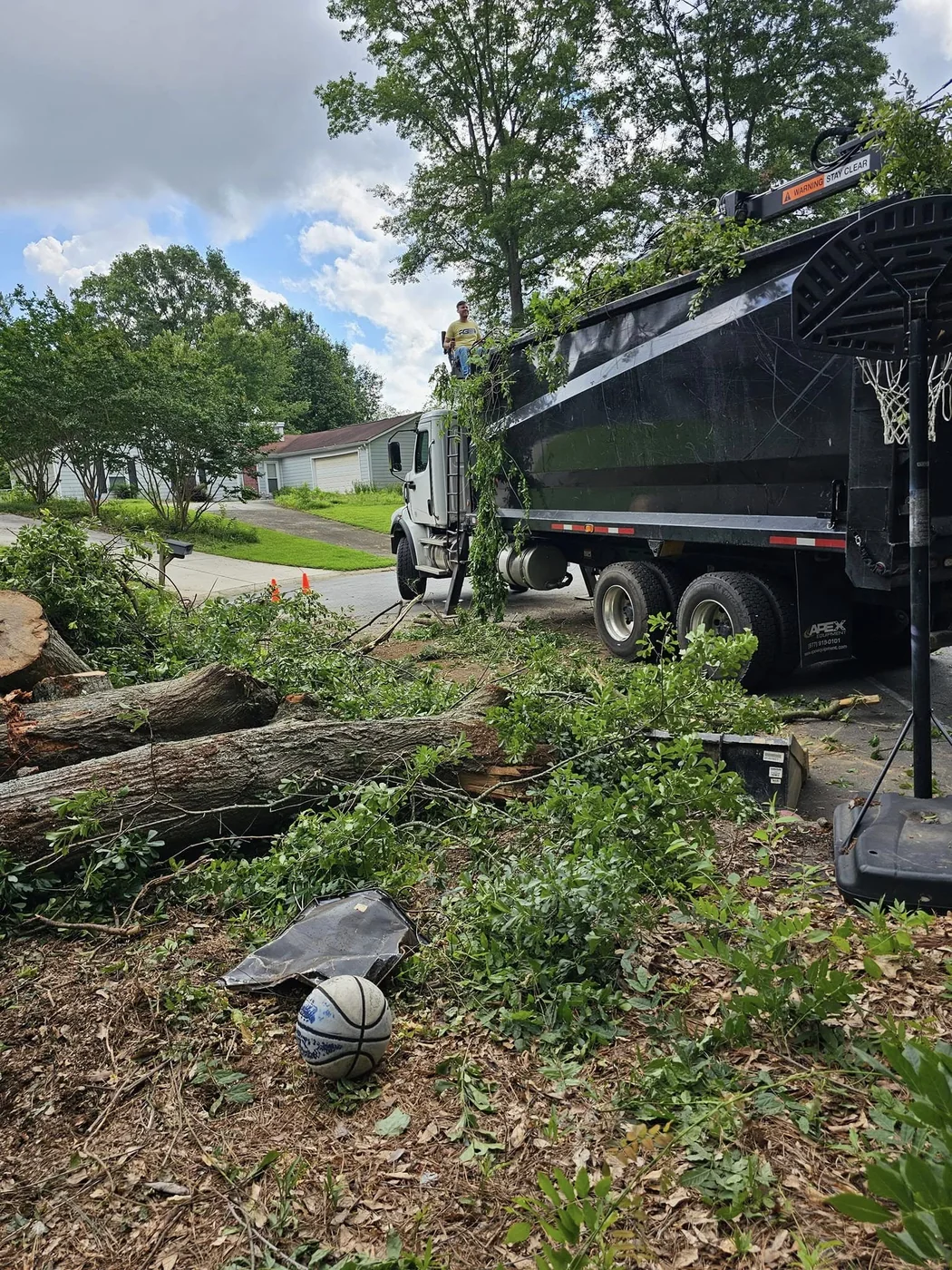 IG Tree Service project 4