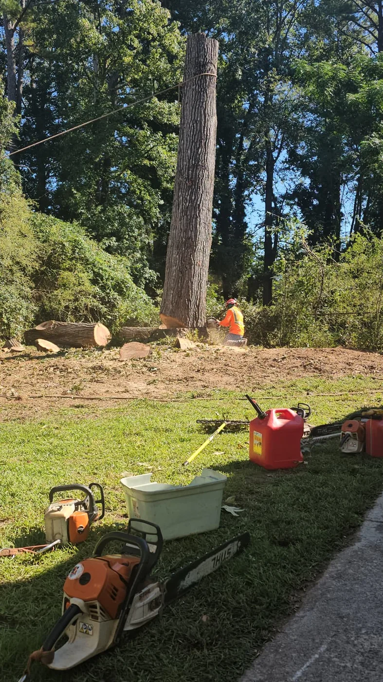 IG Tree Service project 5